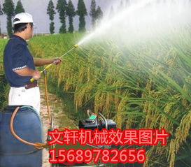 农药电动喷雾器 苹果树喷雾器 德州